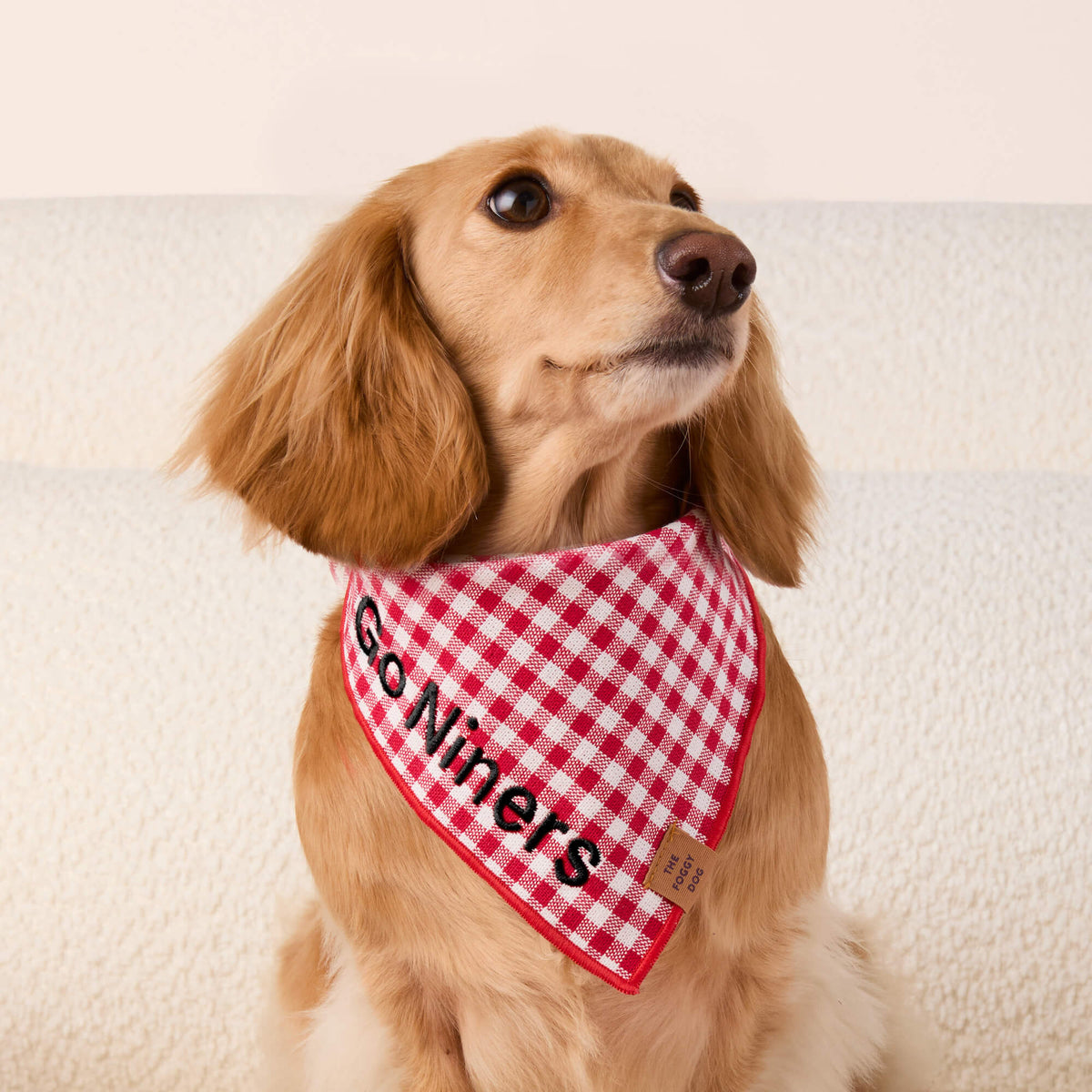 Red Gingham Dog Bandana