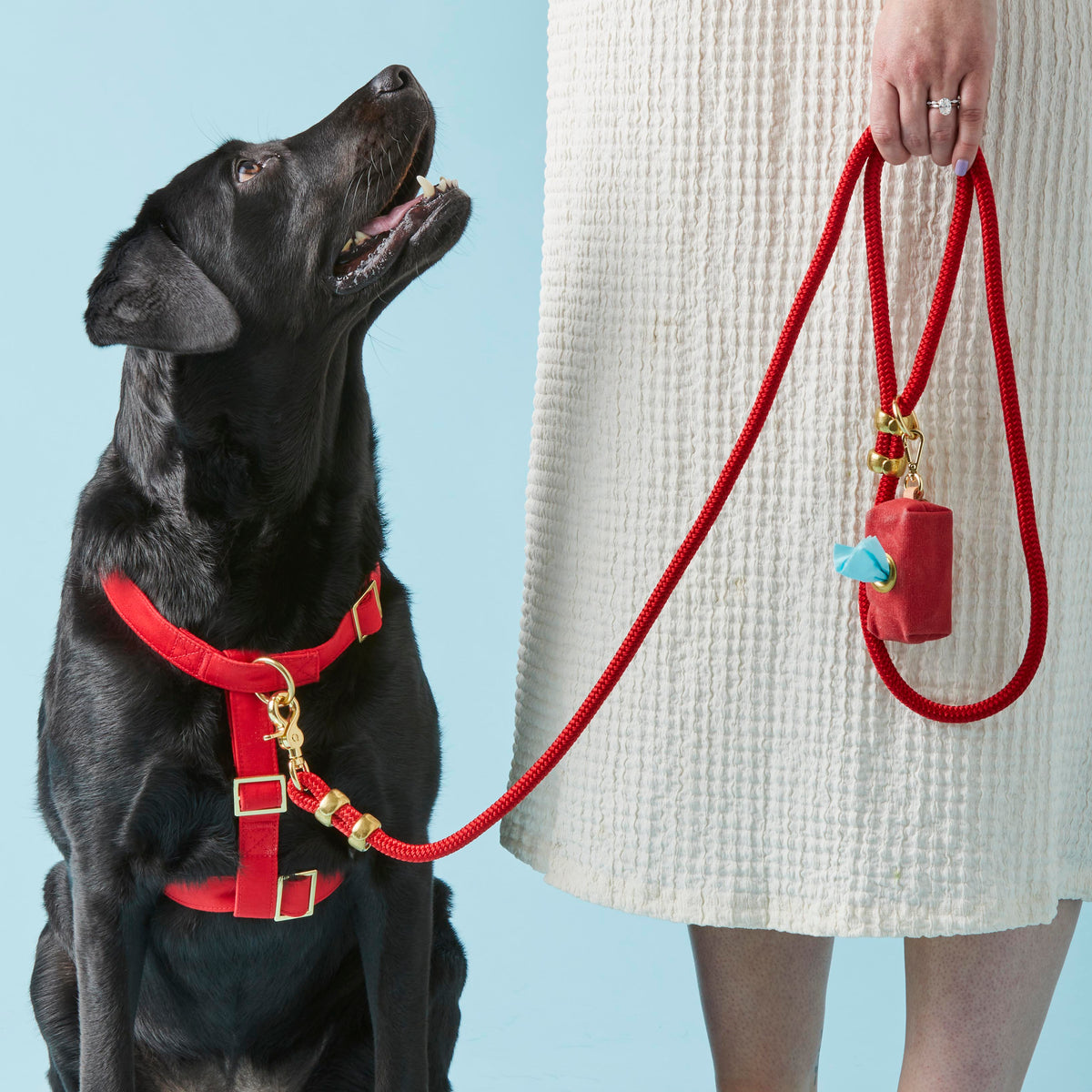 Ruby Harness Walk Set