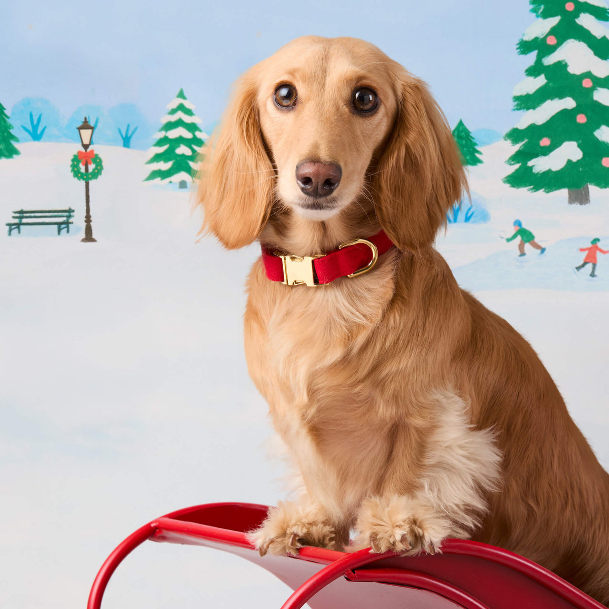 Ruby Dog Collar
