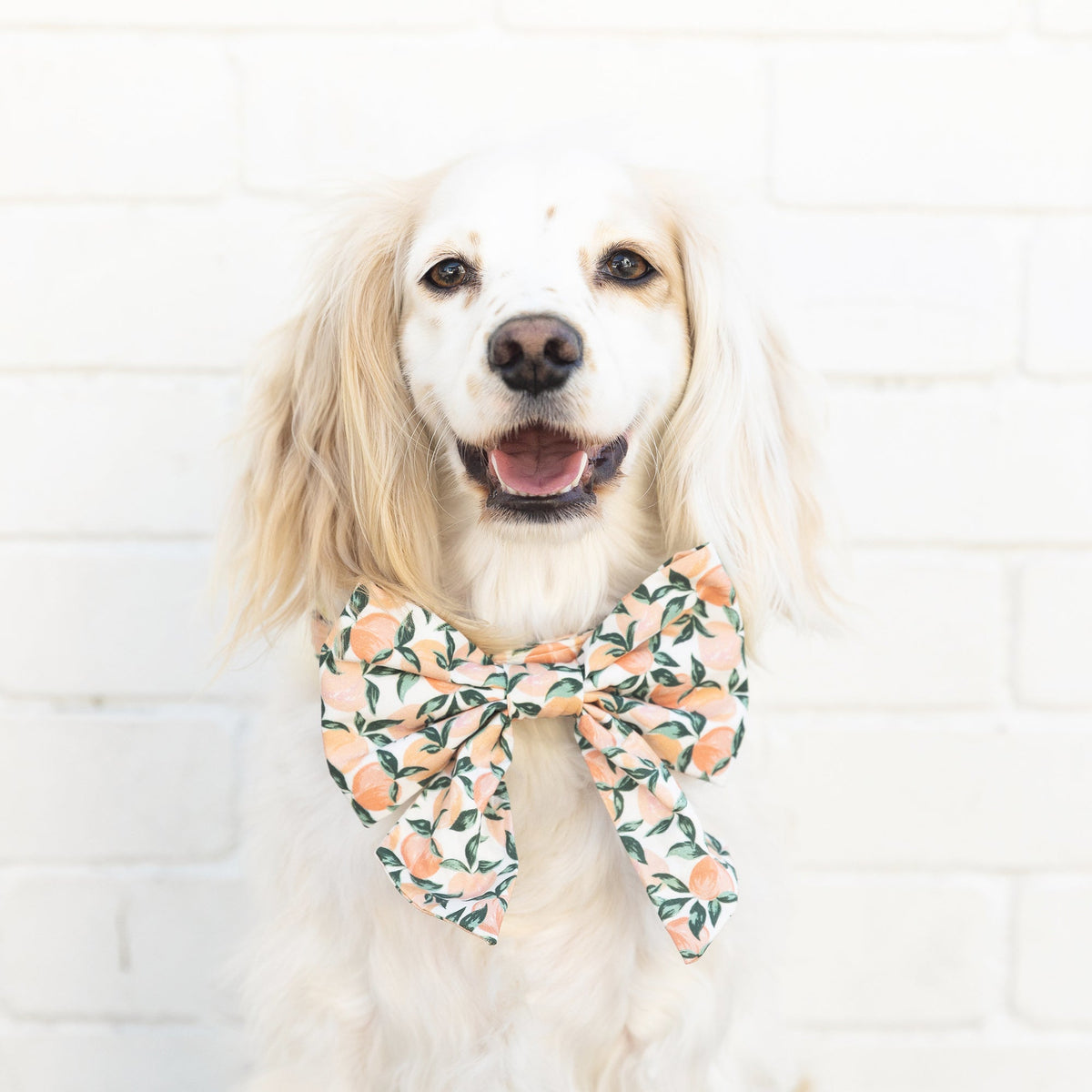 Peaches and Cream Lady Dog Bow