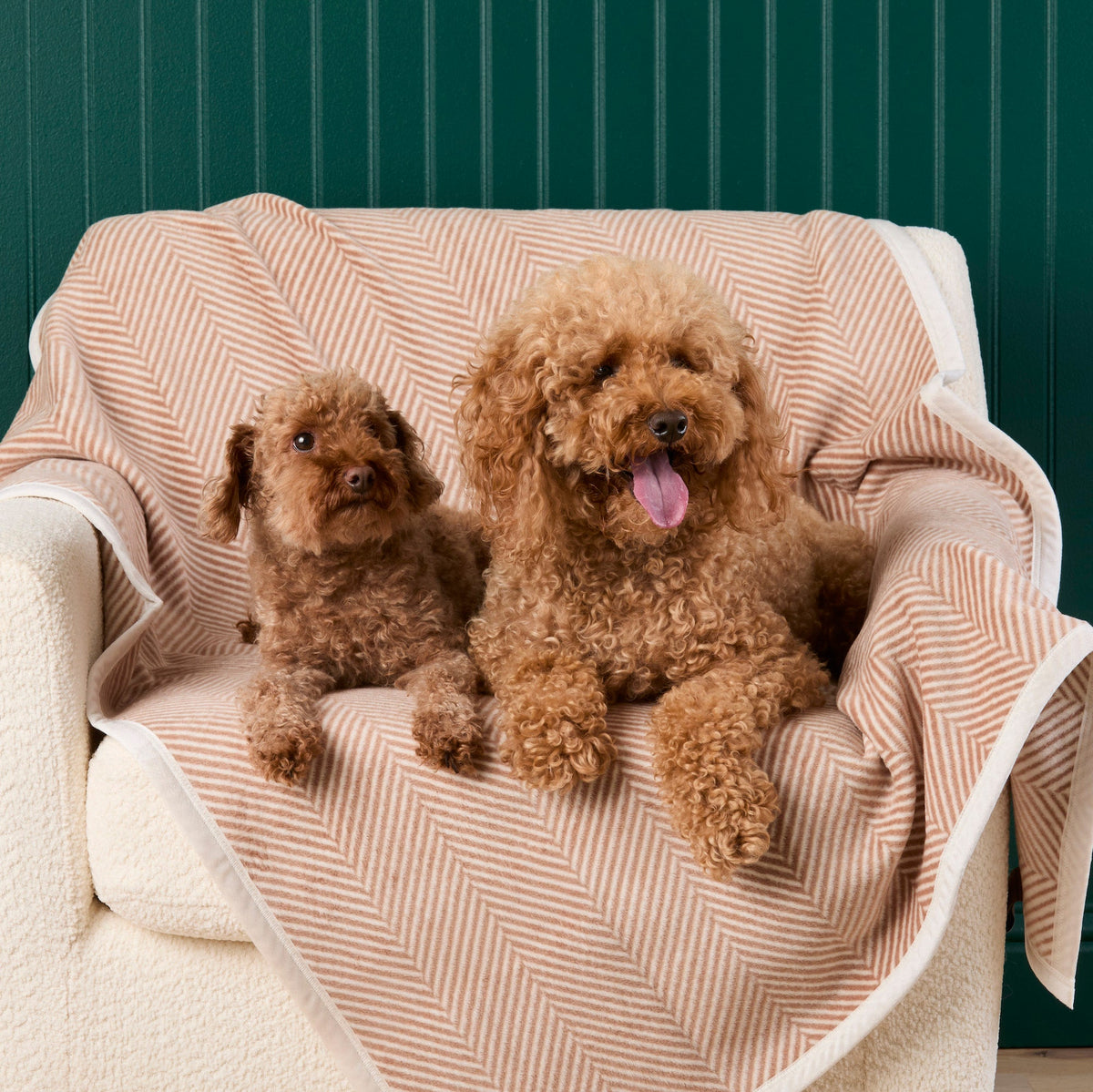 ChappyWrap Harborview Herringbone Tan Dog Blanket