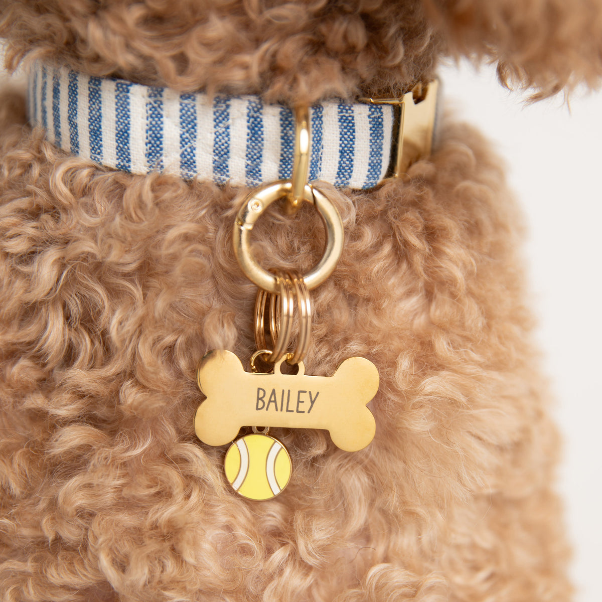 Pet Tag Keeper