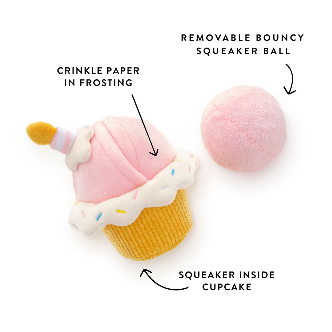 Birthday Cupcake 2-in-1 Bounce Dog Toy