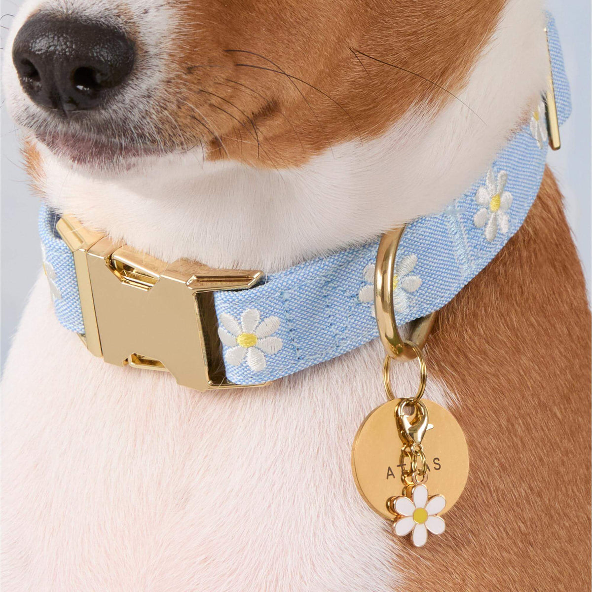 Strawberry Patch Collar Charm Set