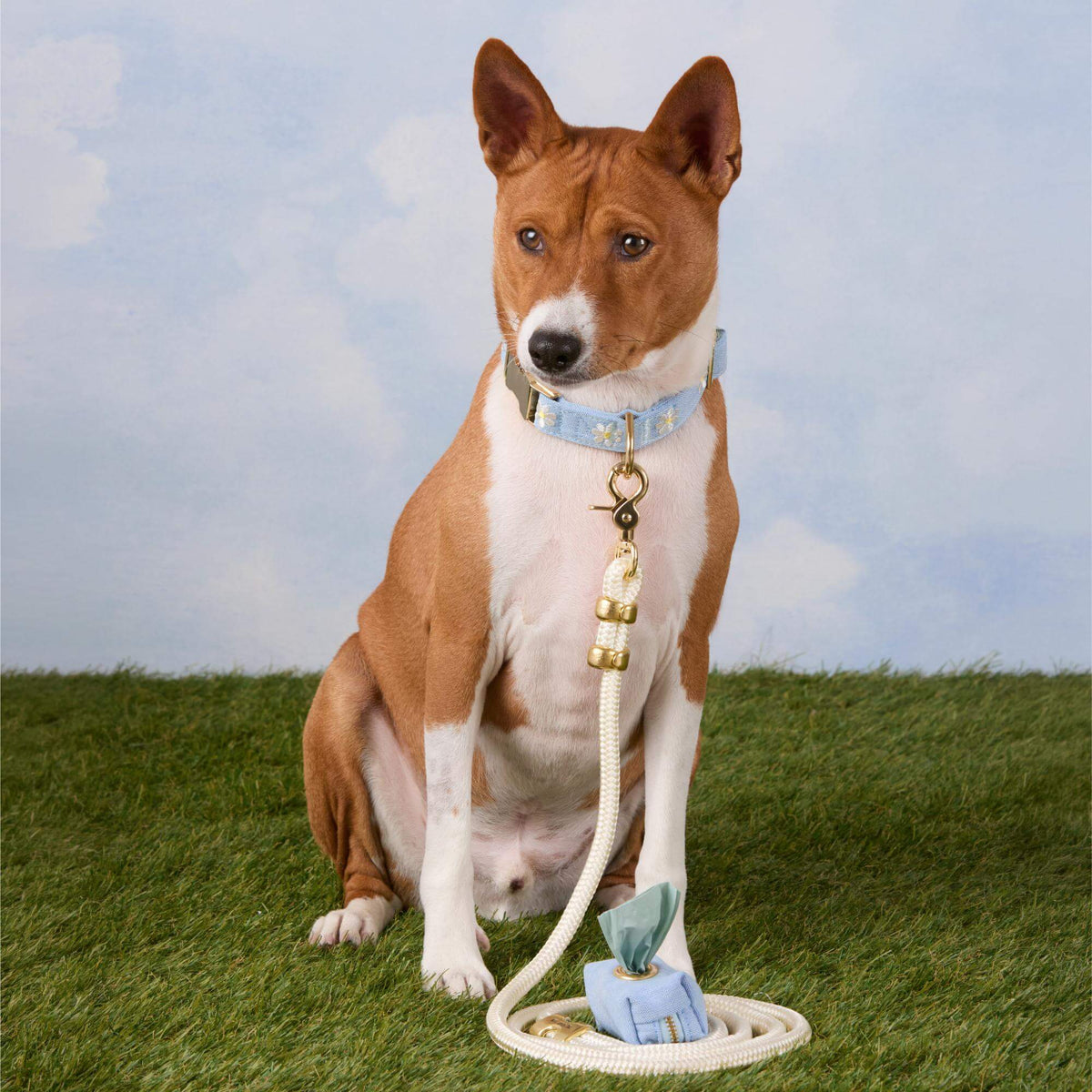 Daisy Embroidered Collar Walk Set