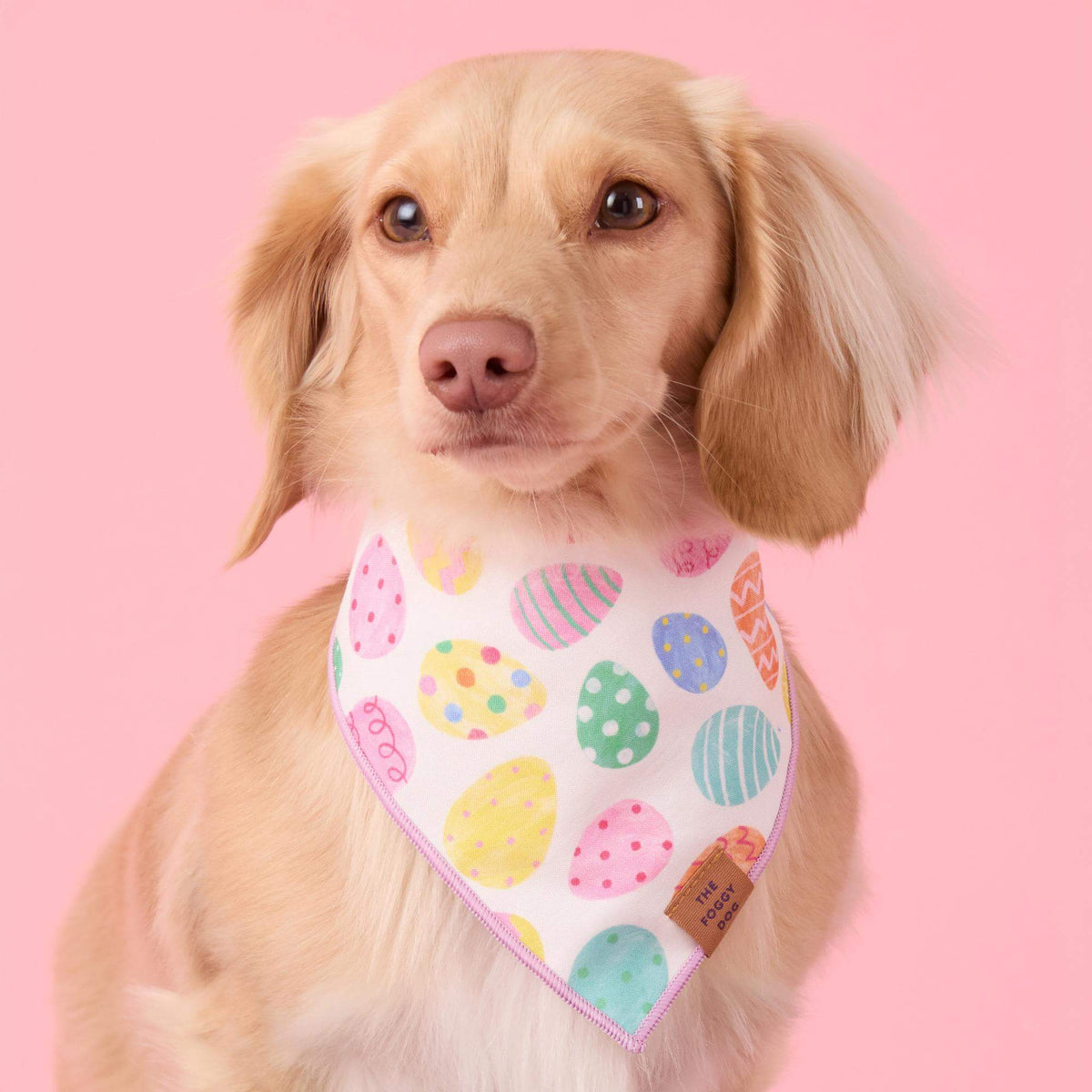 Easter Eggs Reversible Dog Bandana