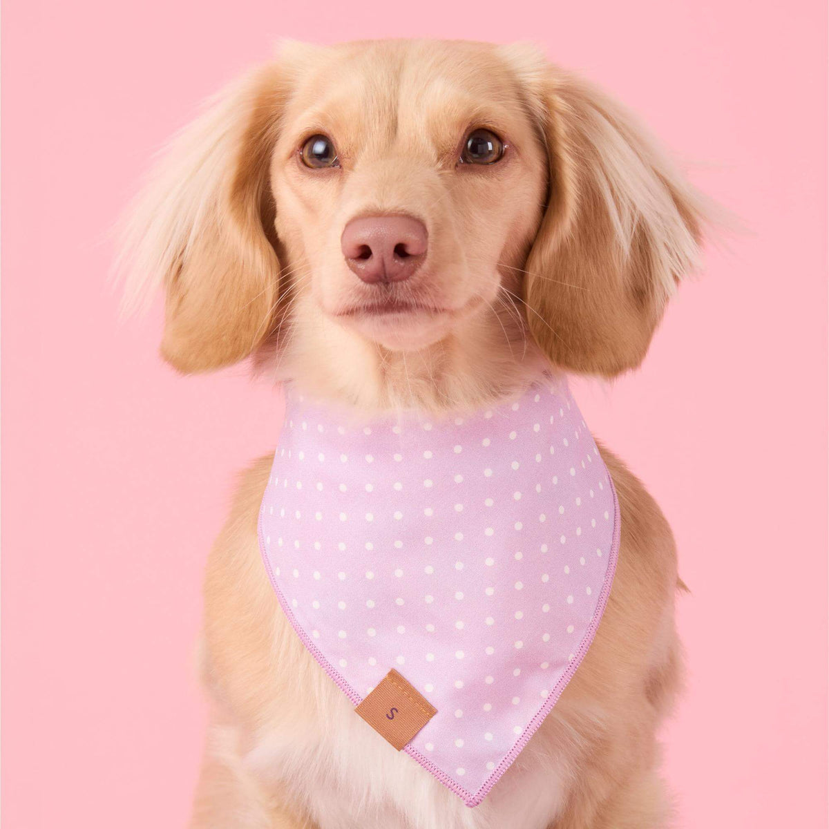 Easter Eggs Reversible Dog Bandana