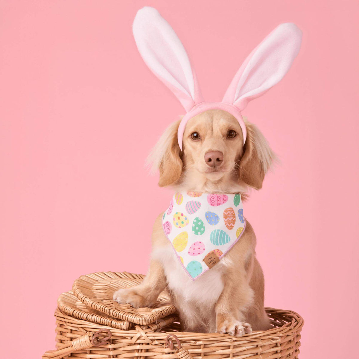 Easter Eggs Reversible Dog Bandana