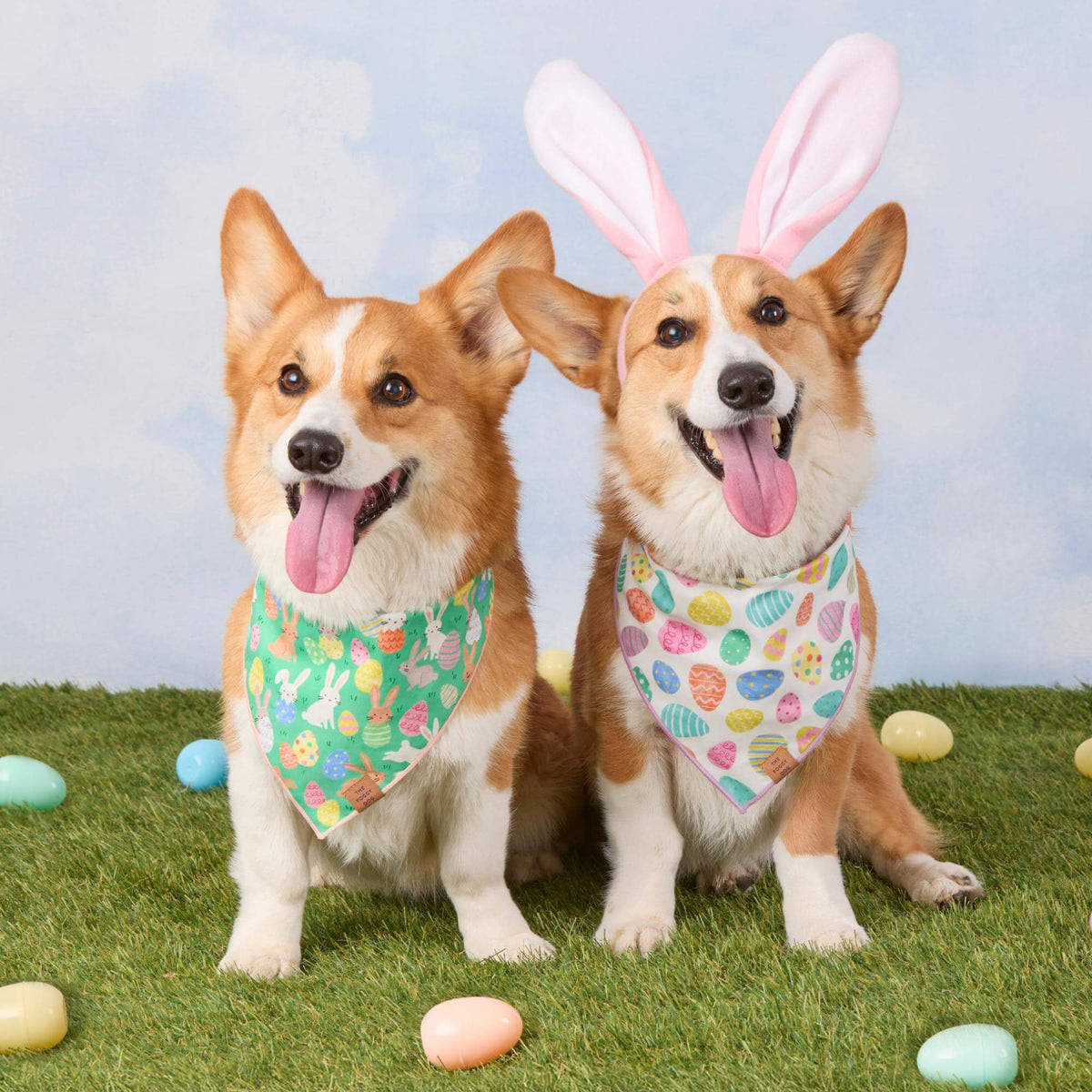 Easter Eggs Reversible Dog Bandana