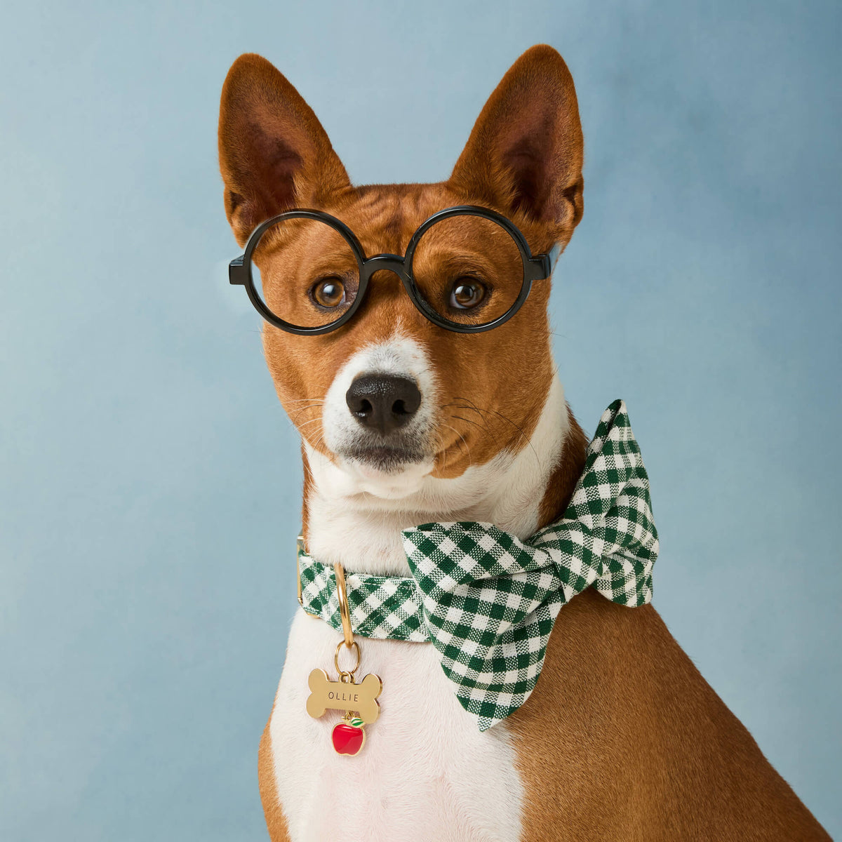 Evergreen Gingham Bow Tie Collar
