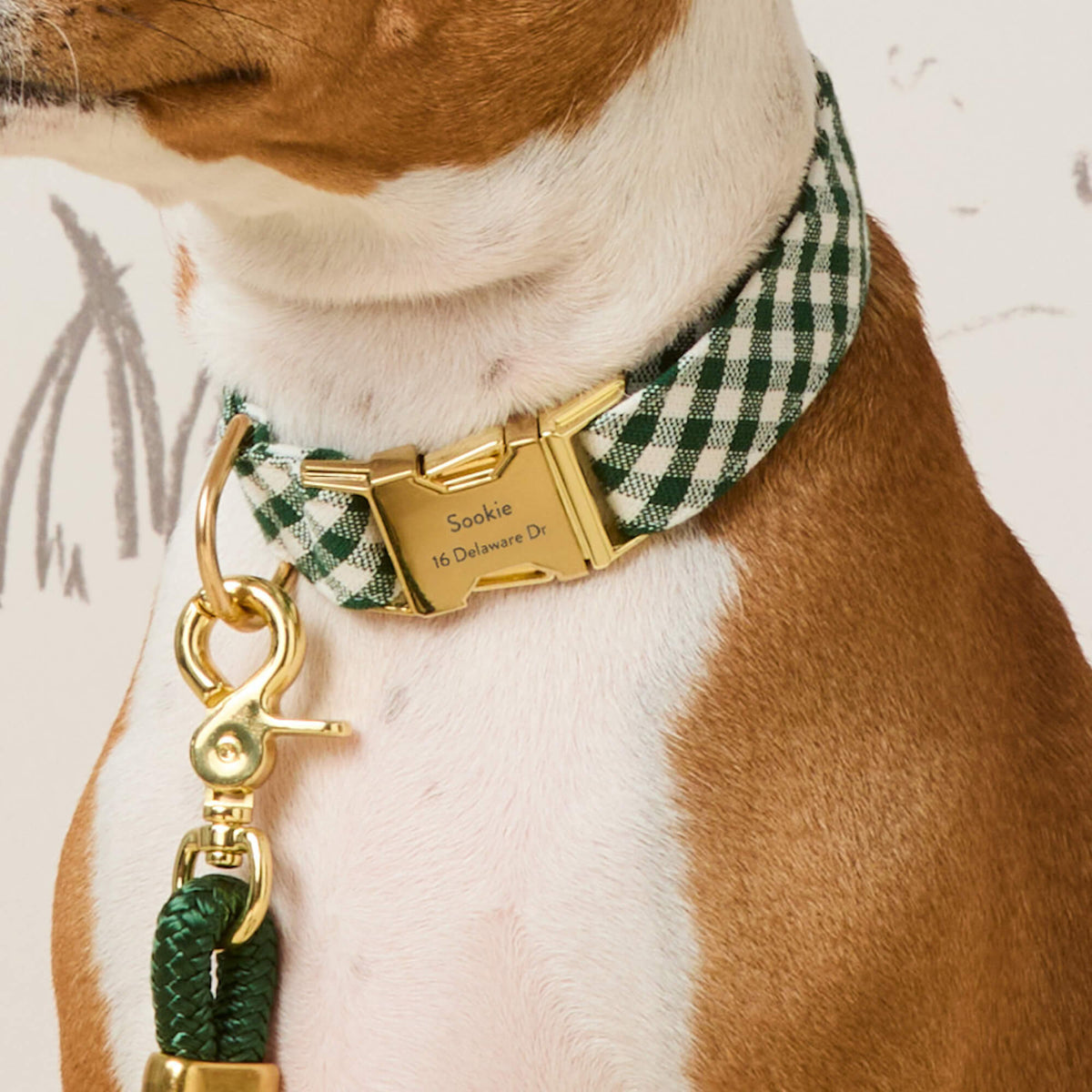 Evergreen Gingham Collar Walk Set