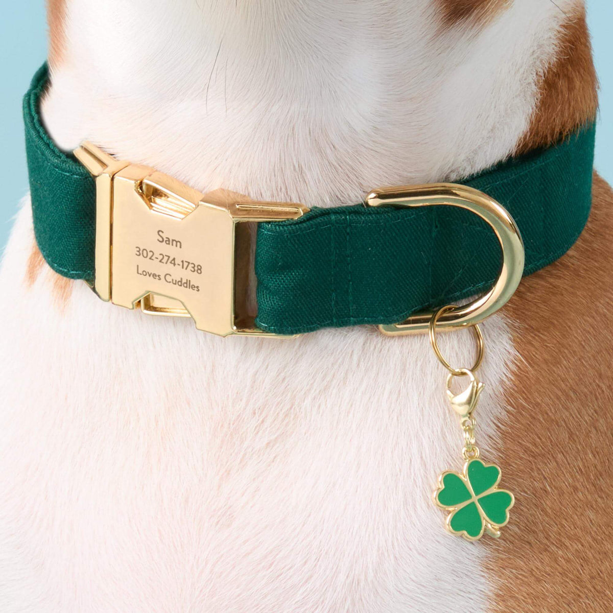 Evergreen Dog Collar