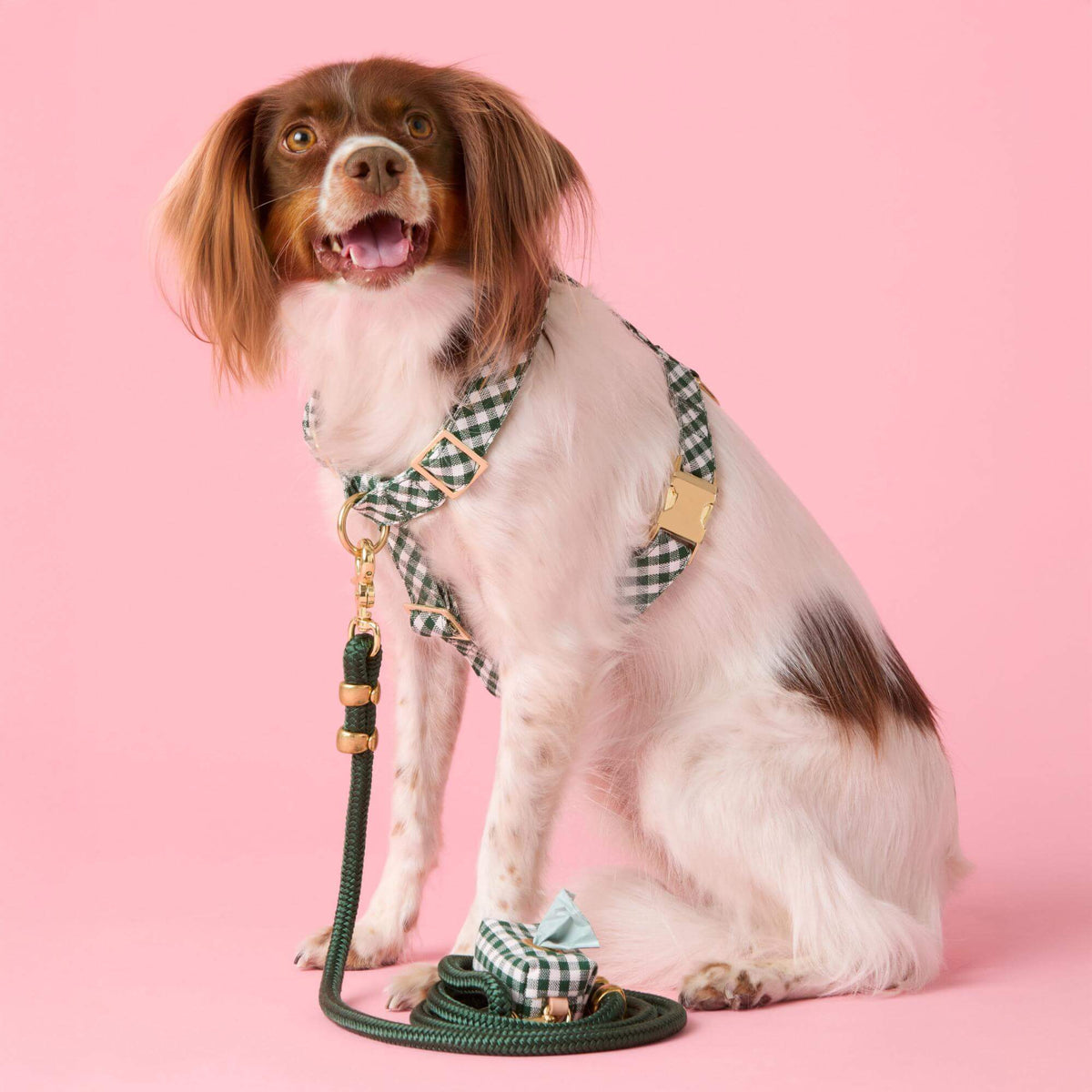 Evergreen Gingham Harness Walk Set