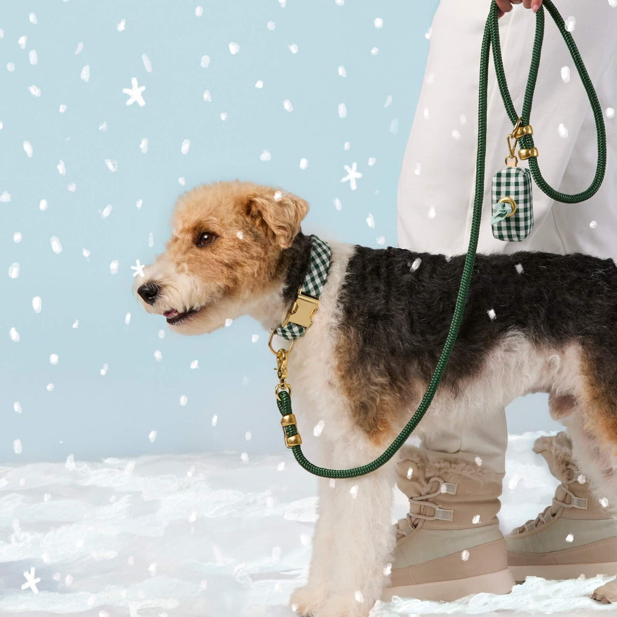 Evergreen Gingham Collar Walk Set