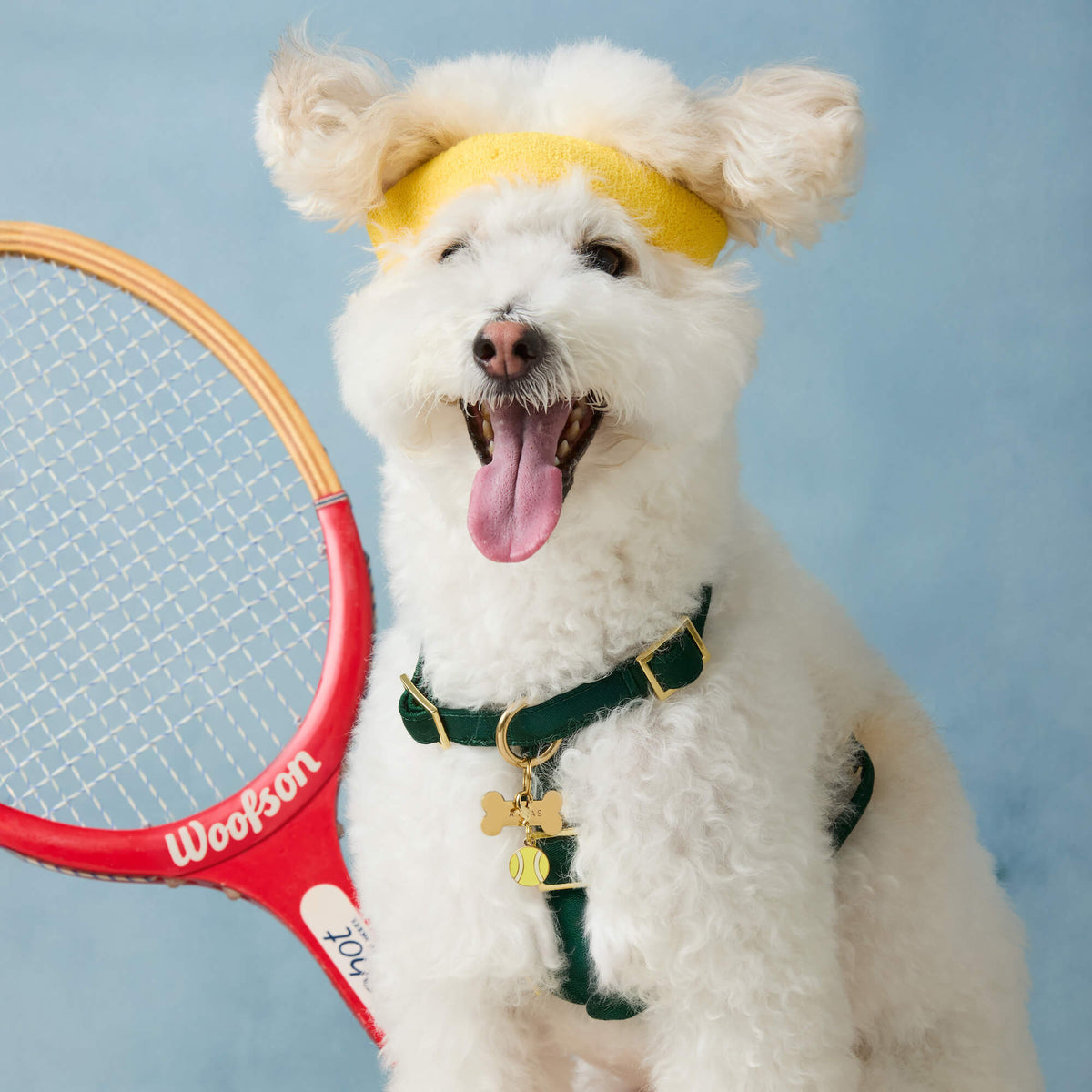 Tennis Ball Collar Charm