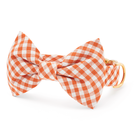 Cider Gingham Bow Tie Collar