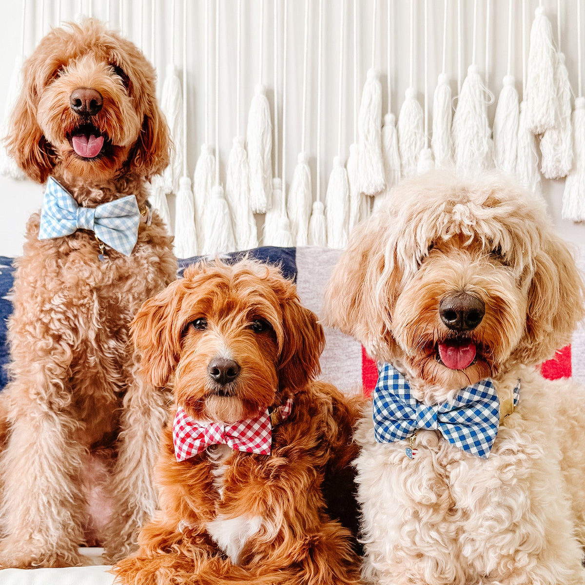 Sky Blue Gingham Dog Bow Tie