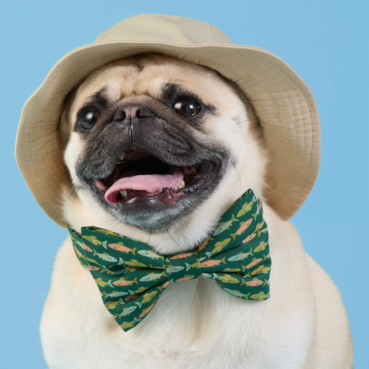 Gone Fishing Dog Bow Tie