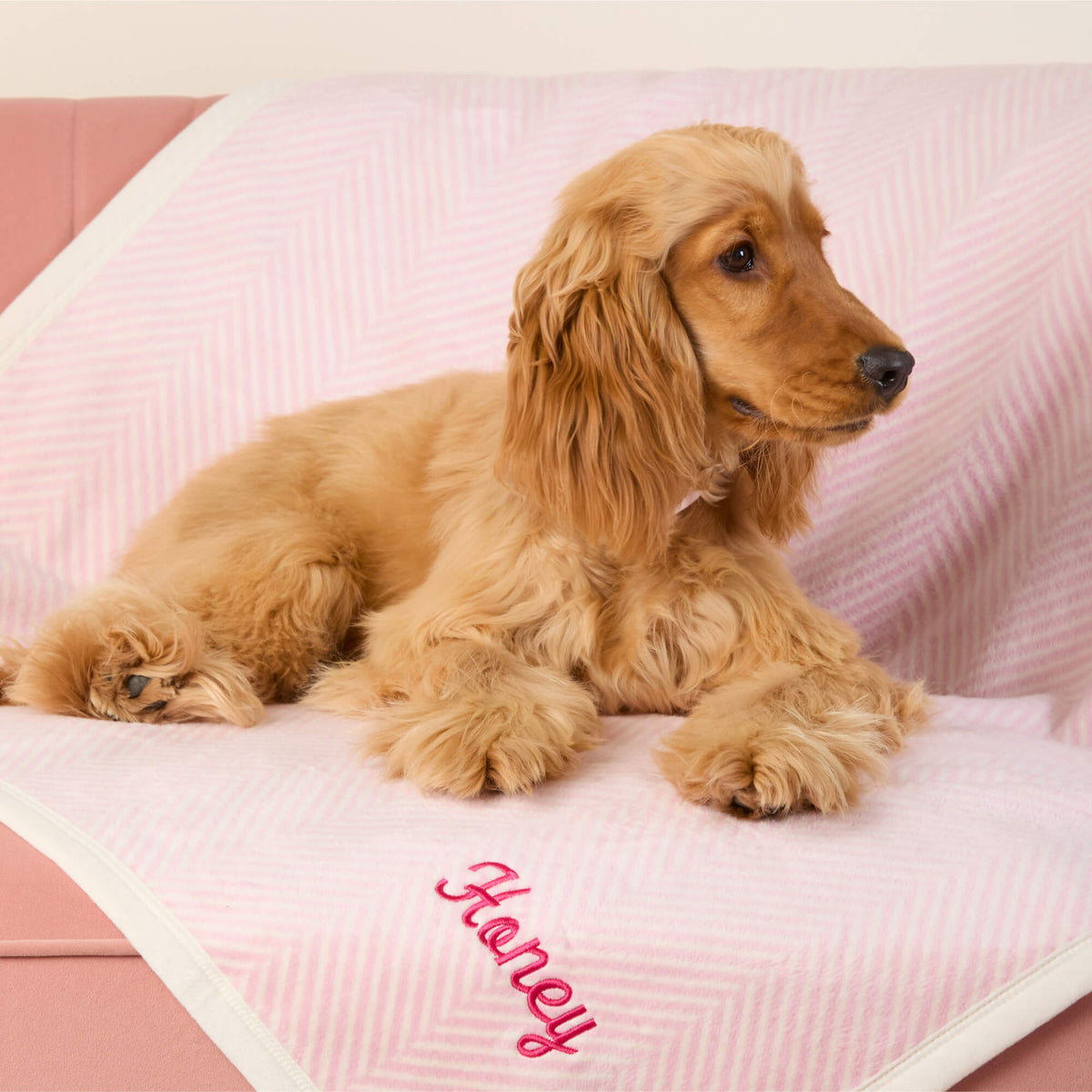 ChappyWrap Harborview Herringbone Blush Dog Blanket