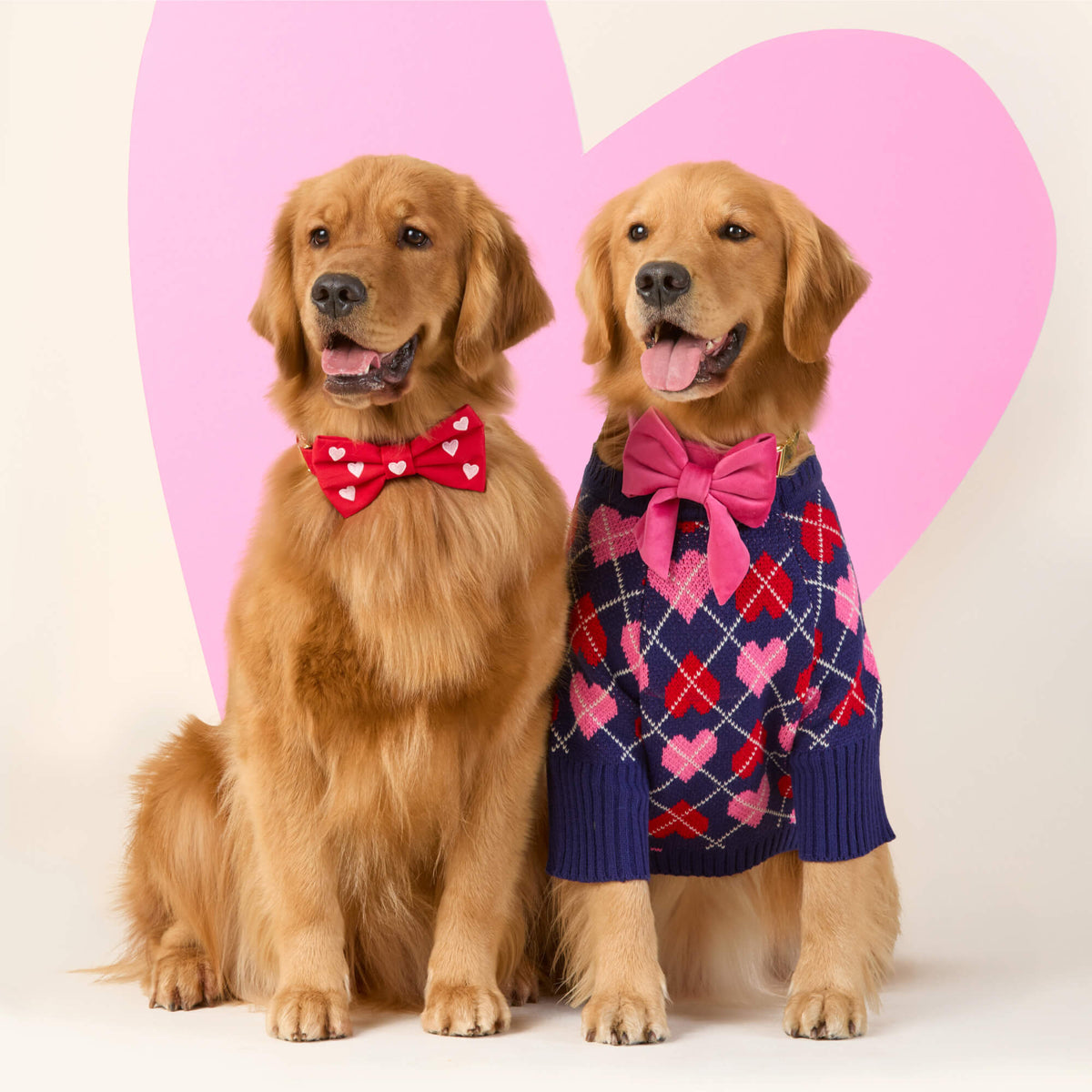 Hot Pink Velvet Lady Bow Collar