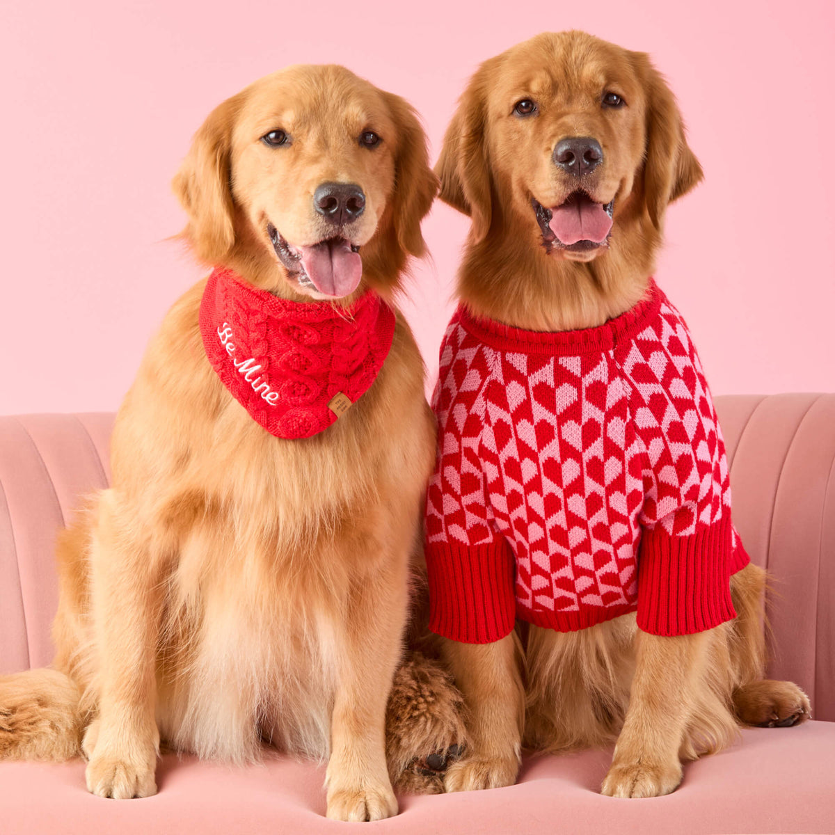 Heart Stripe Dog Sweater