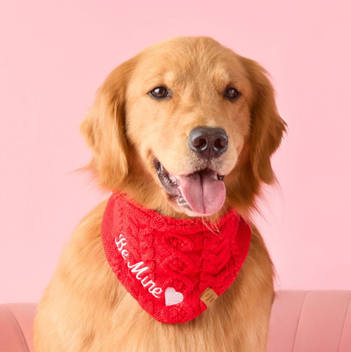 Cable Knit Dog Bandana