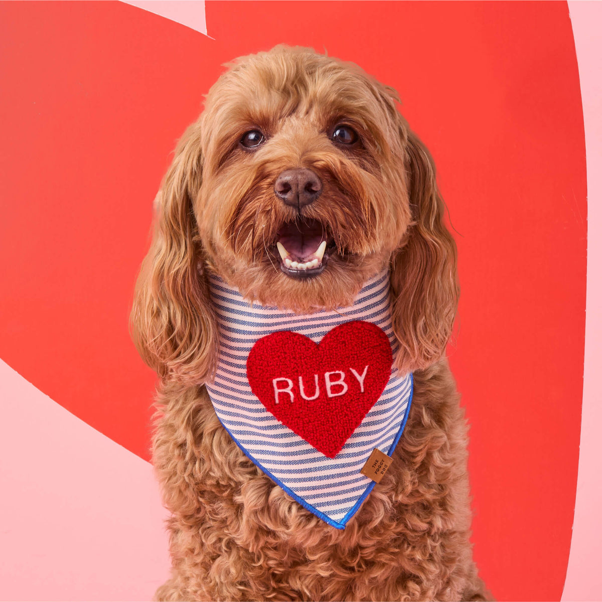 Heart Applique Dog Bandana