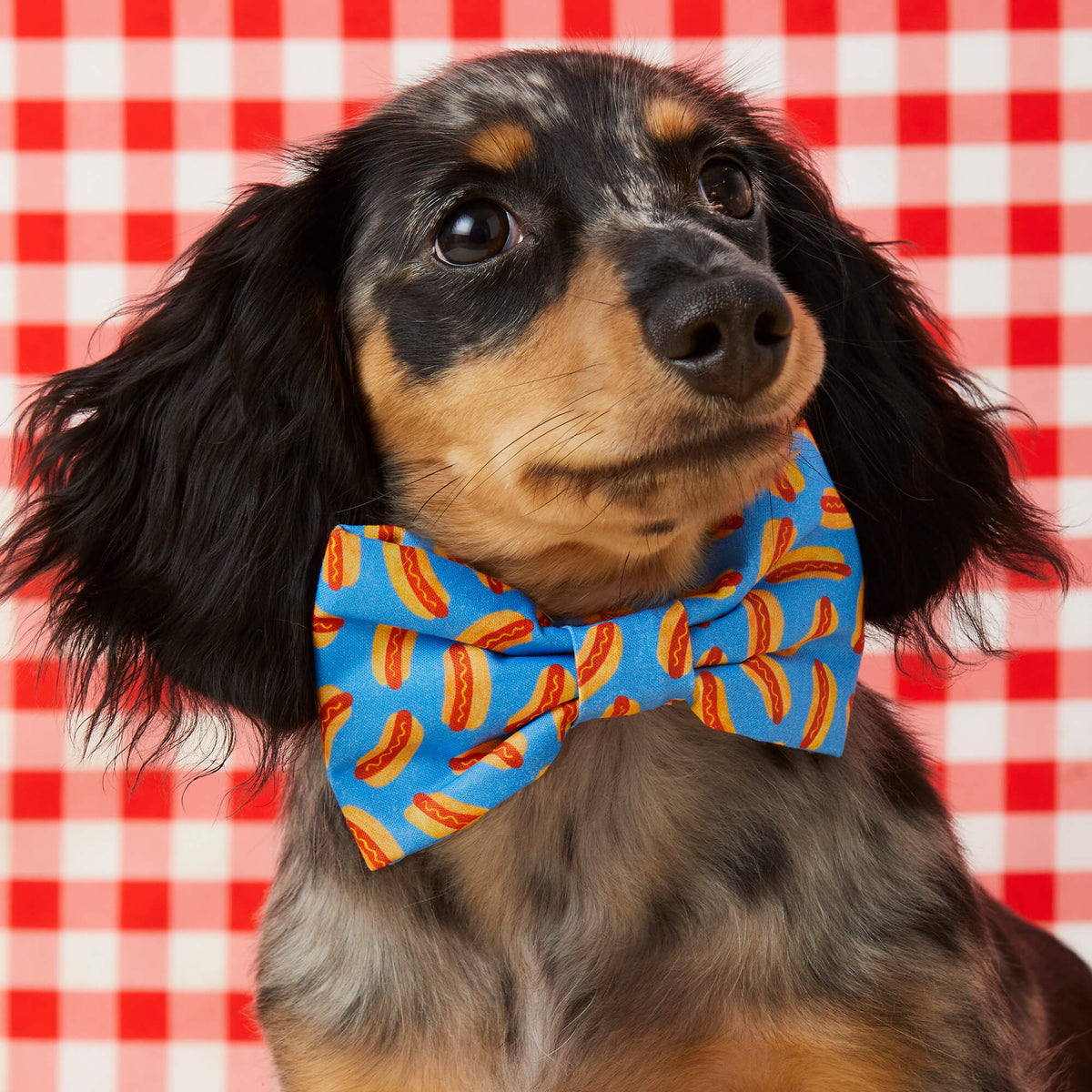 Hot Diggity Dog Bow Tie