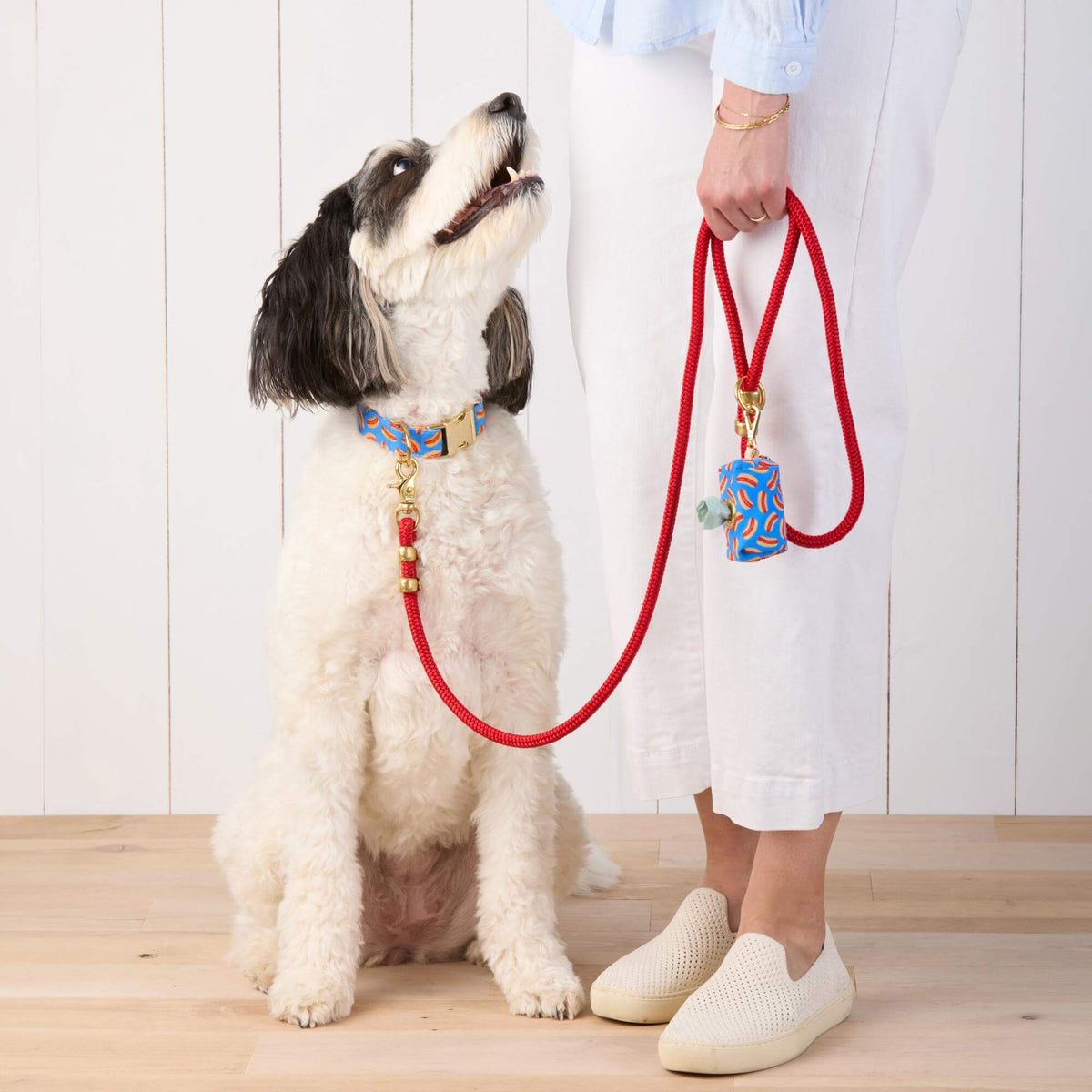 Ruby Marine Rope Dog Leash