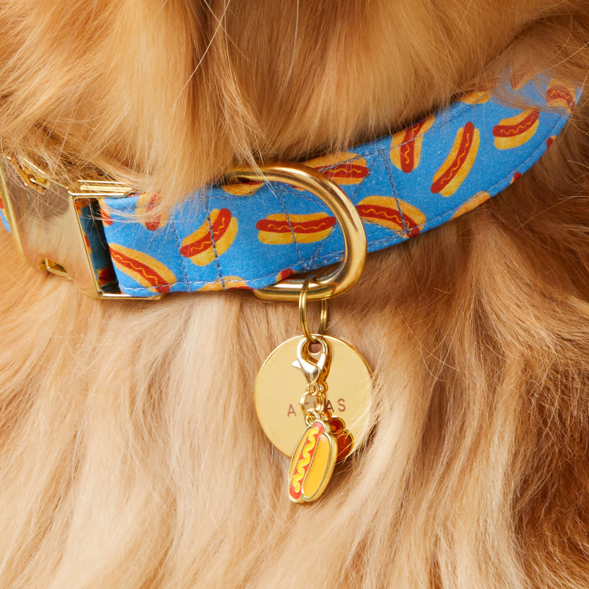 Hot Dog Collar Charm
