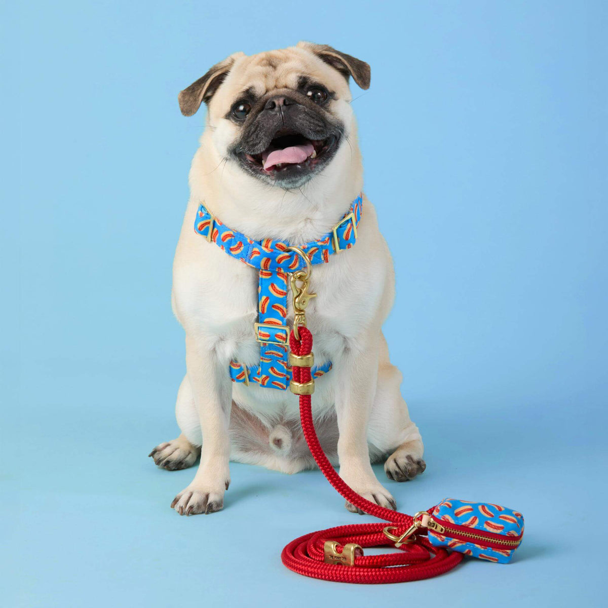Hot Diggity Dog Harness