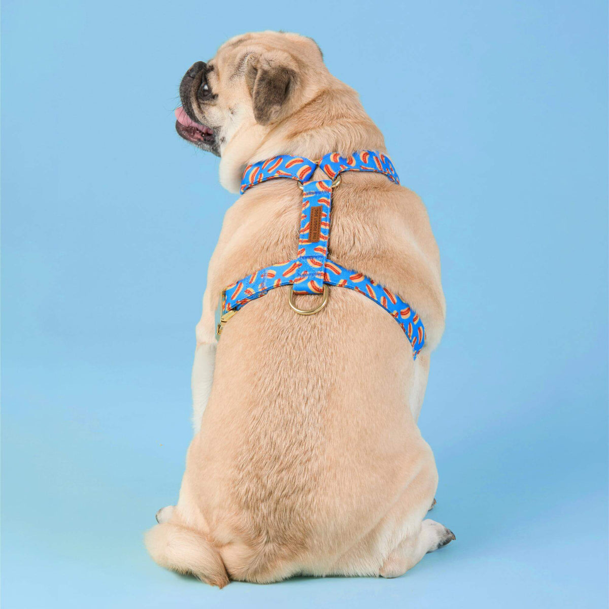 Hot Diggity Harness Walk Set