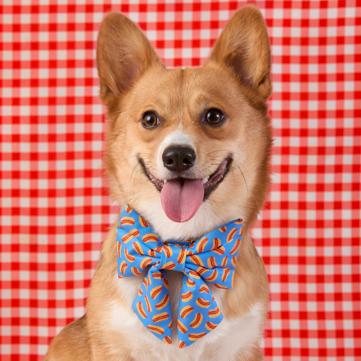 Hot Diggity Lady Dog Bow