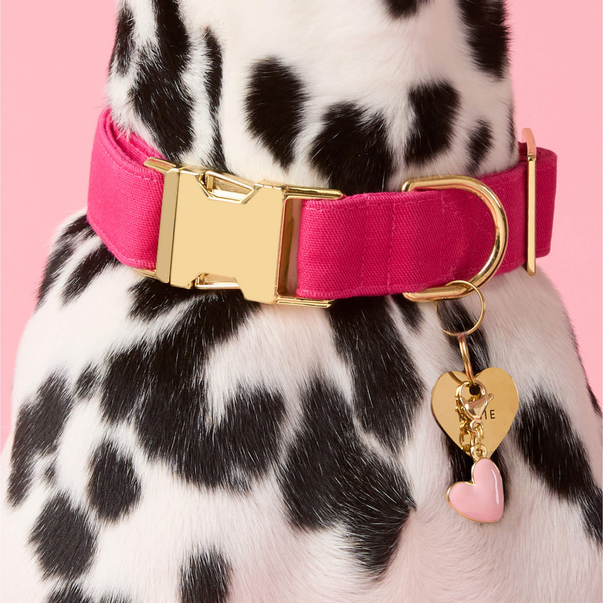 Hot Pink Dog Collar