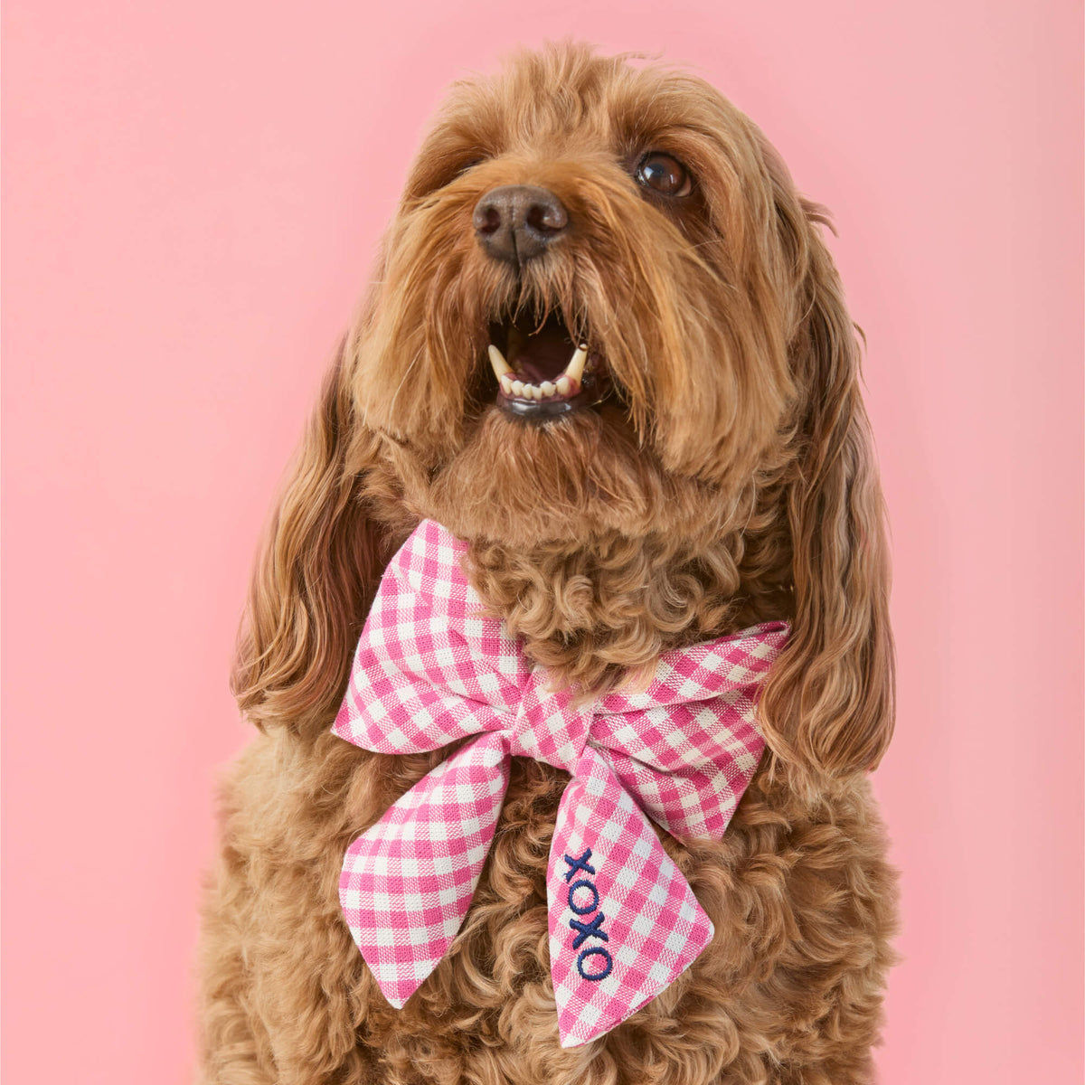 Hot Pink Gingham Lady Dog Bow