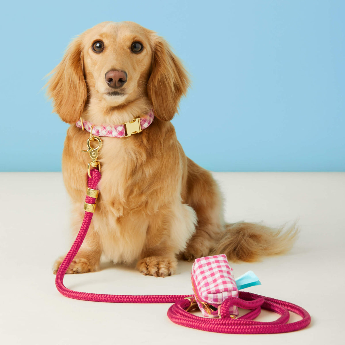 Hot Pink Gingham Waste Bag Holder