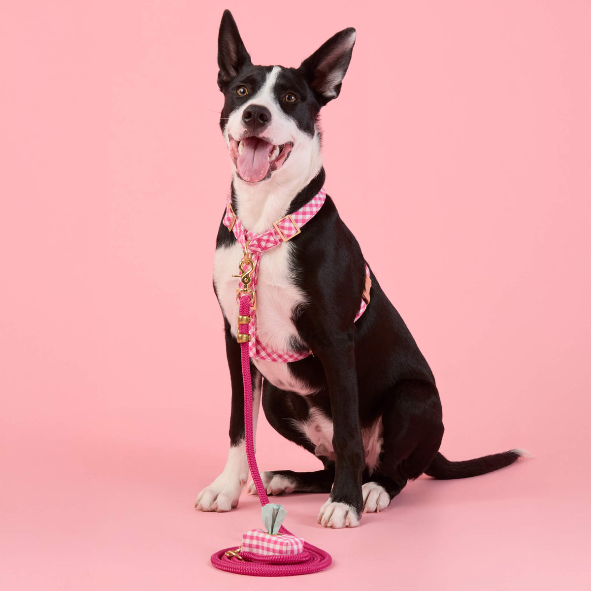 Hot Pink Gingham Waste Bag Holder