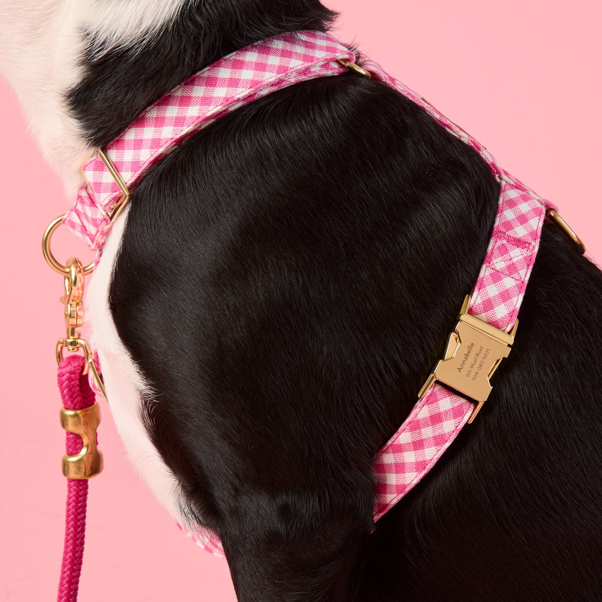 Hot Pink Gingham Dog Harness