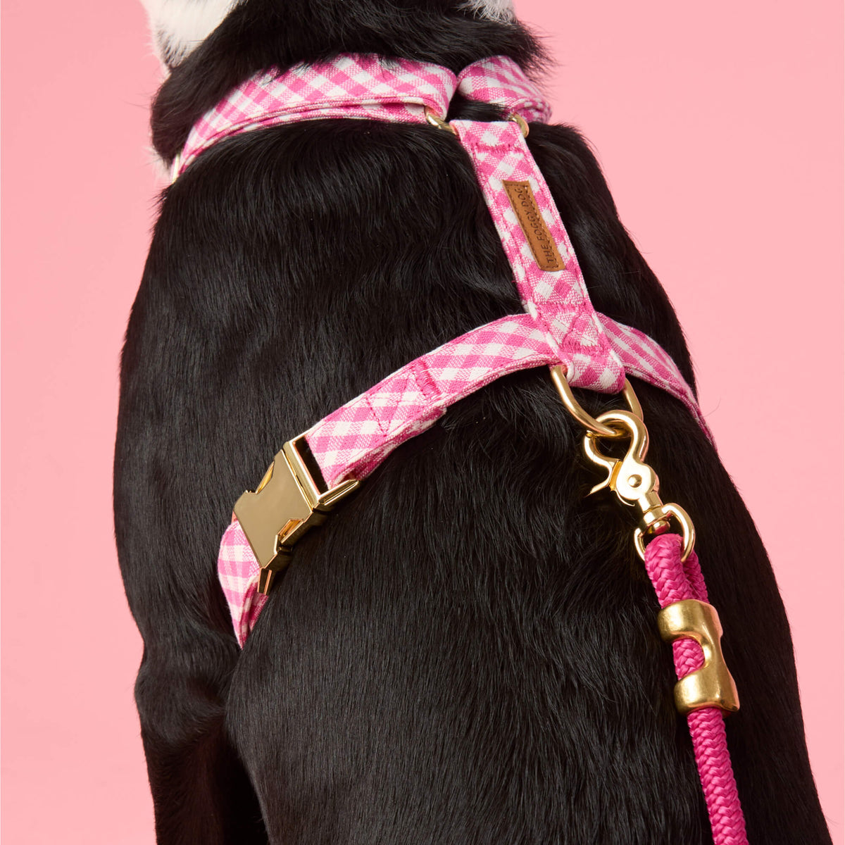Hot Pink Gingham Harness Walk Set