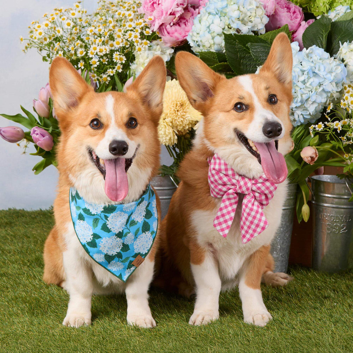 Hydrangea Dog Bandana