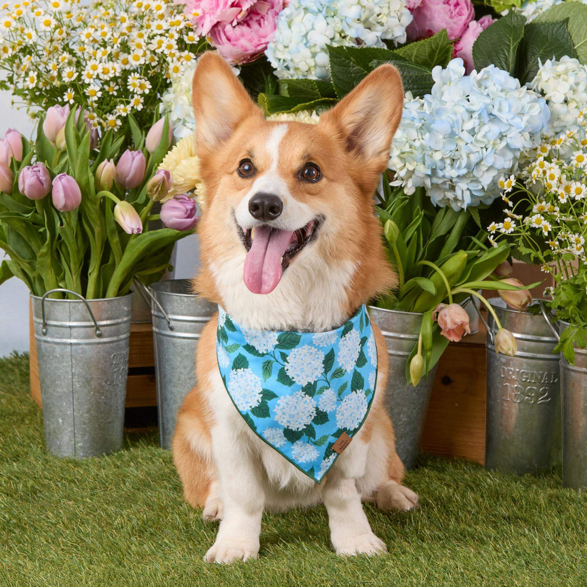 Hydrangea Dog Bandana