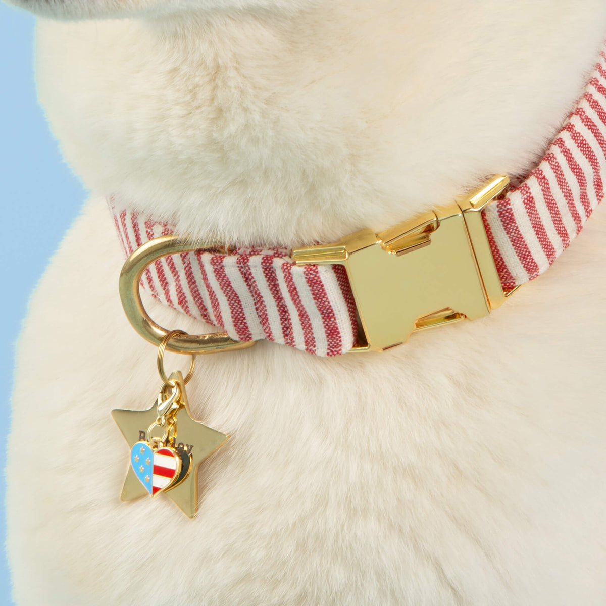 Red Stripe Dog Collar