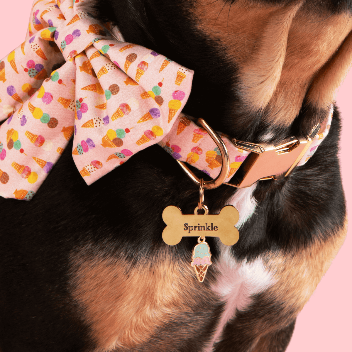 Ice Cream Collar Charm