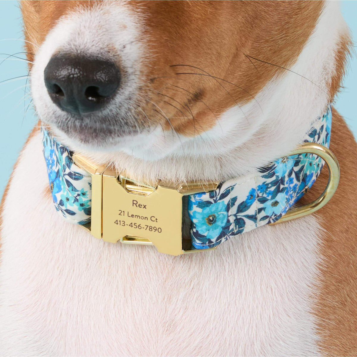 Jardin Dog Collar