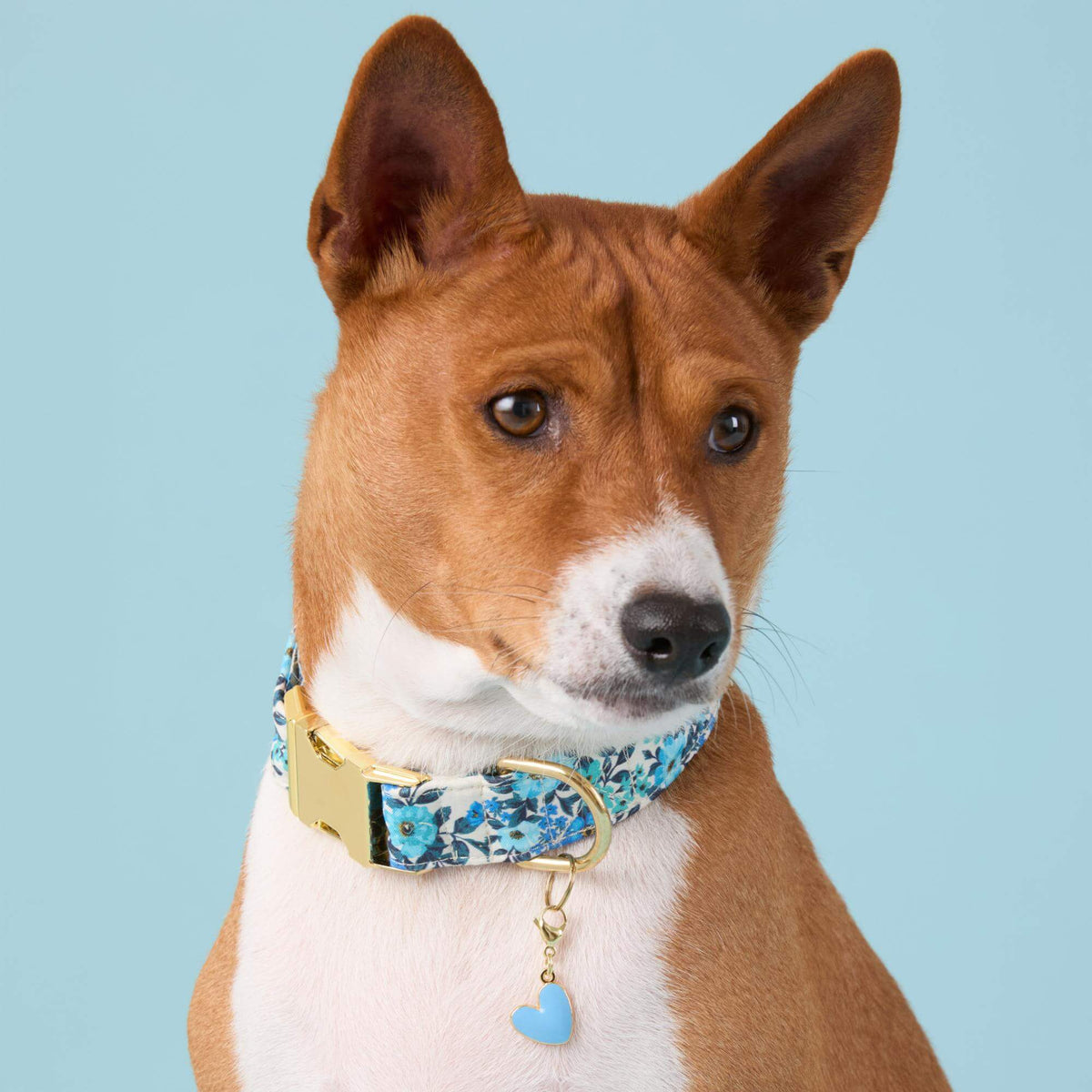 Jardin Dog Collar