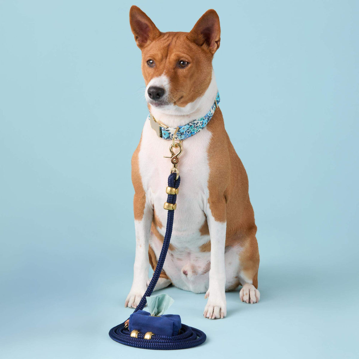 Jardin Collar Walk Set