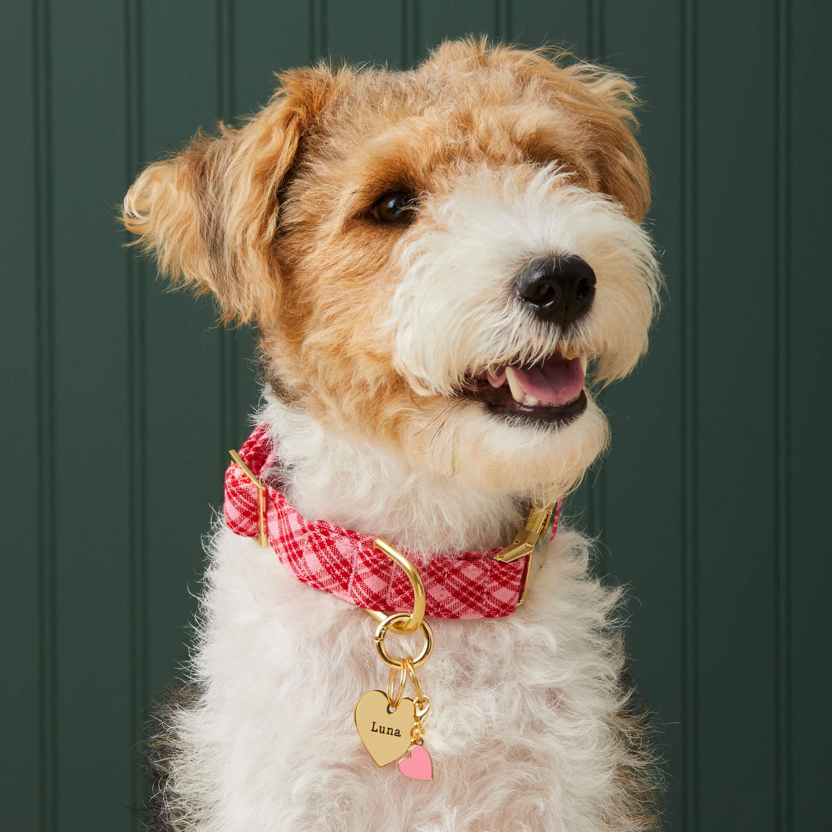 Pet Tag Keeper