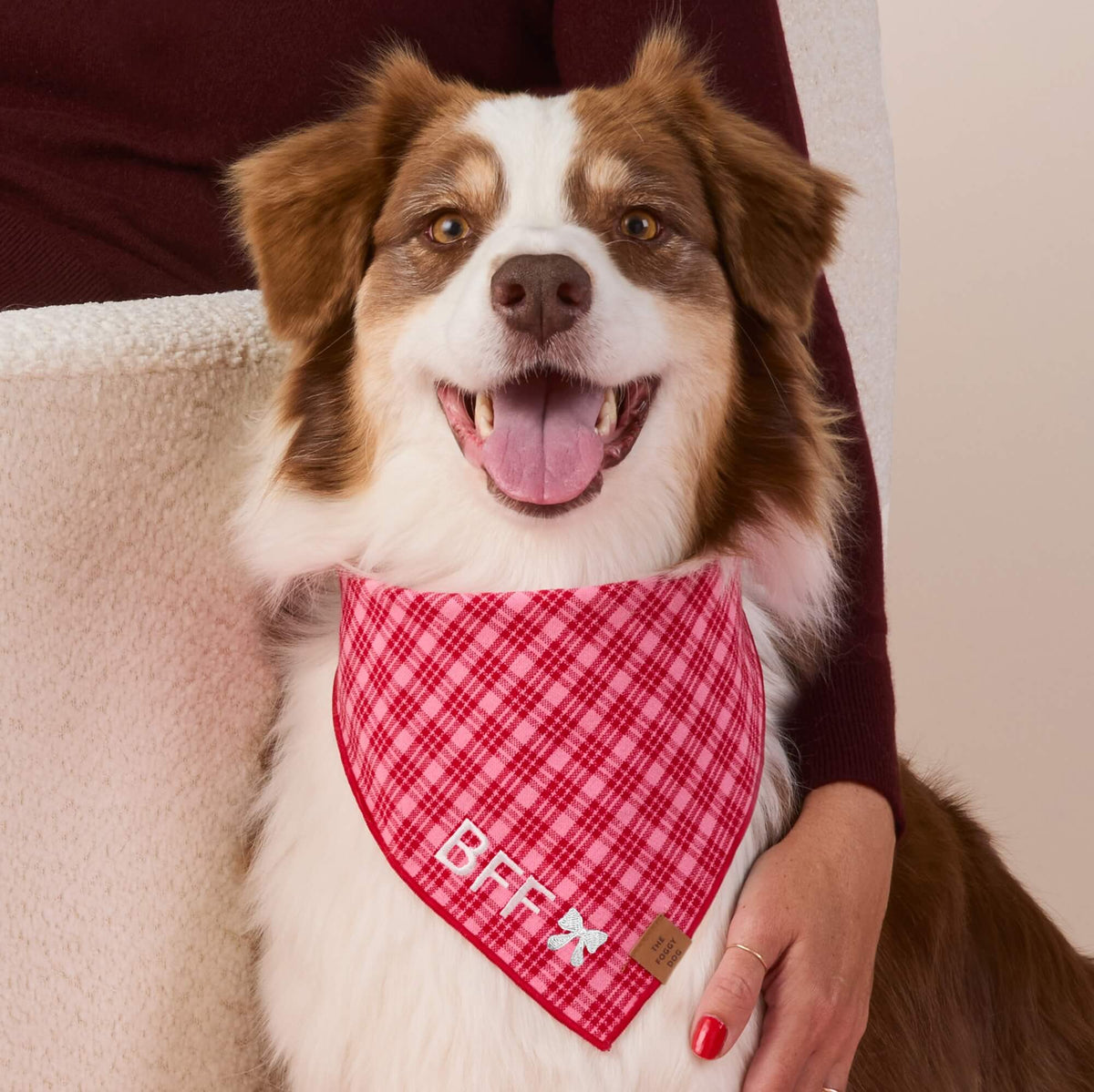 Heather Taylor Home x TFD Katherine Plaid Valentine Dog Bandana