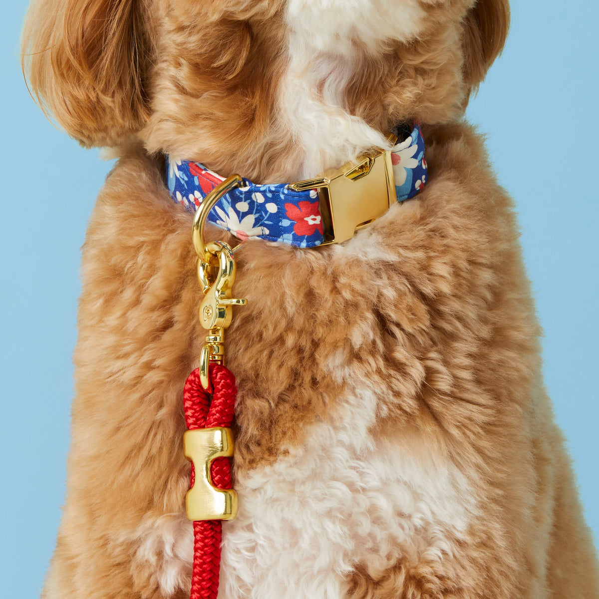 Liberty Garden Dog Collar