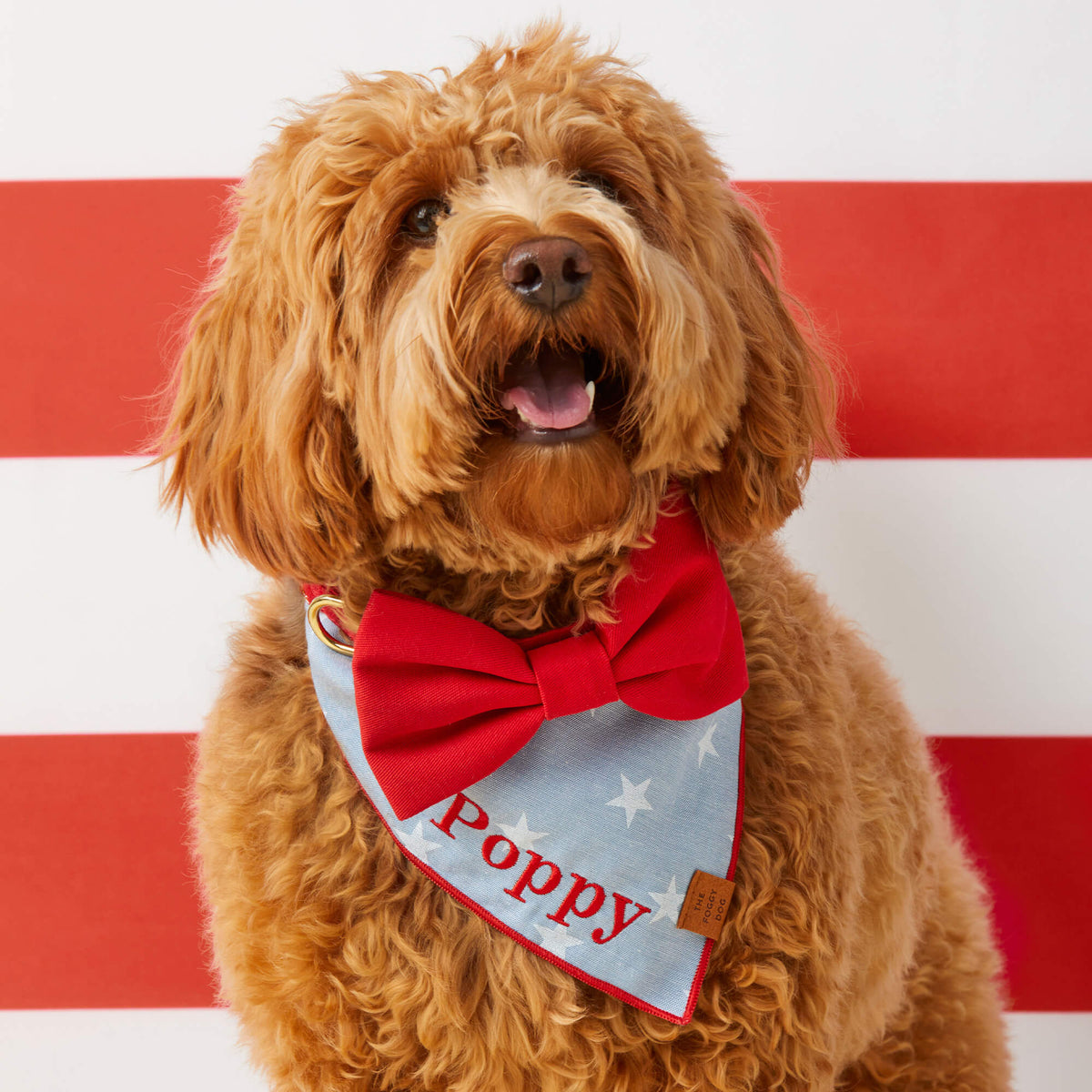 Ruby Dog Bow Tie